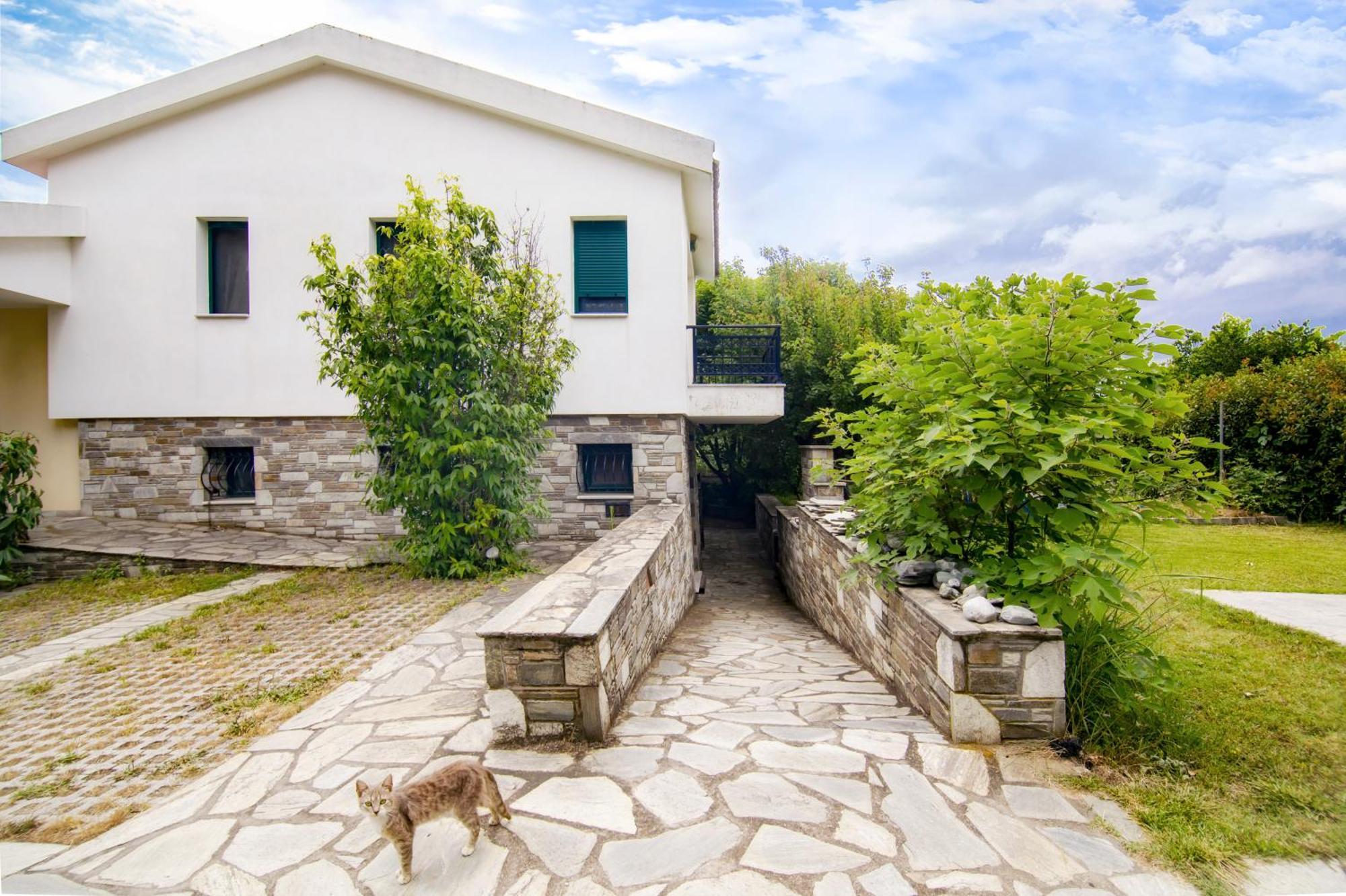 Ileana'S House Apartment Volos Luaran gambar
